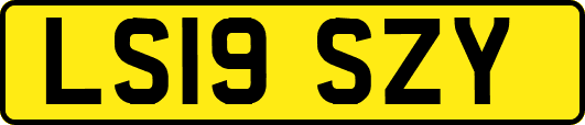 LS19SZY
