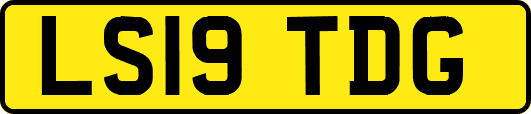 LS19TDG