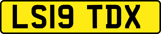 LS19TDX