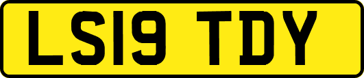 LS19TDY