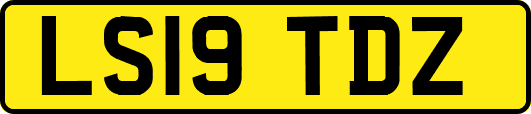 LS19TDZ