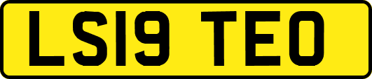 LS19TEO