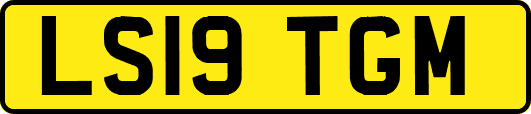 LS19TGM