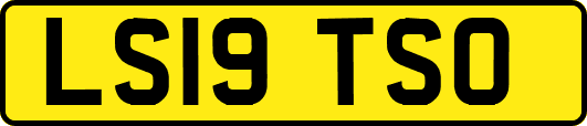 LS19TSO