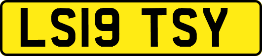 LS19TSY