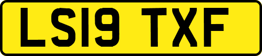 LS19TXF