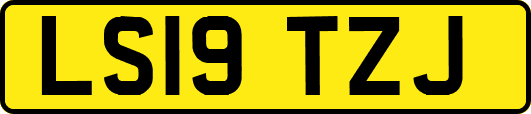 LS19TZJ