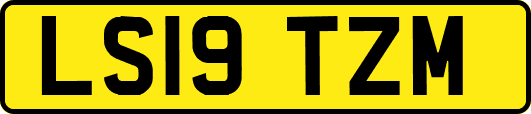 LS19TZM