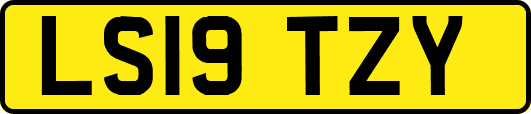 LS19TZY