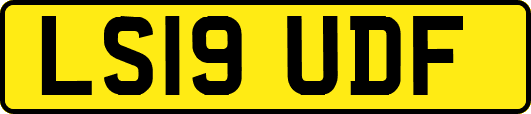 LS19UDF