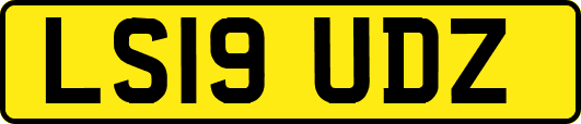 LS19UDZ