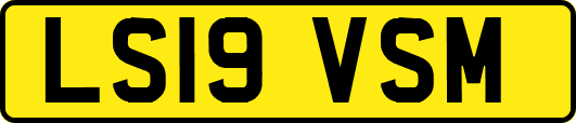 LS19VSM