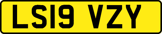 LS19VZY