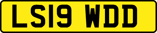 LS19WDD