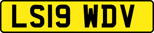 LS19WDV