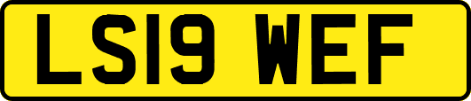 LS19WEF