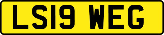 LS19WEG