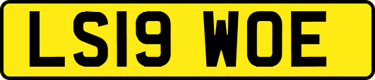 LS19WOE