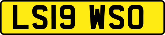 LS19WSO