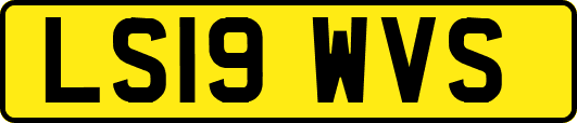 LS19WVS