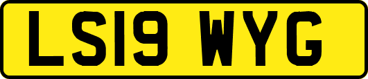 LS19WYG