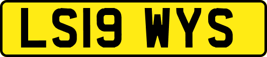 LS19WYS