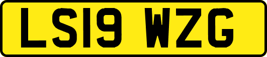 LS19WZG