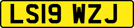 LS19WZJ