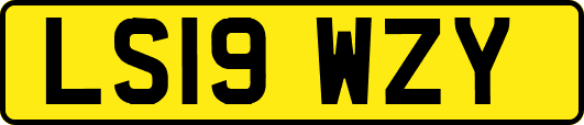 LS19WZY