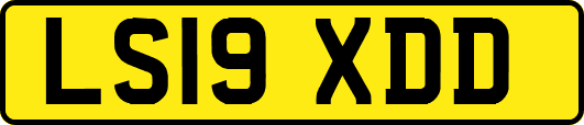 LS19XDD