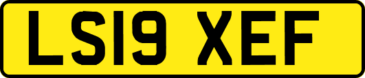 LS19XEF