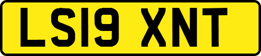 LS19XNT