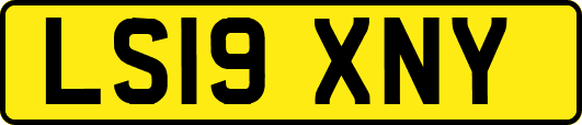 LS19XNY