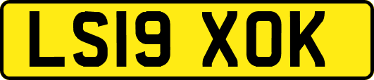 LS19XOK