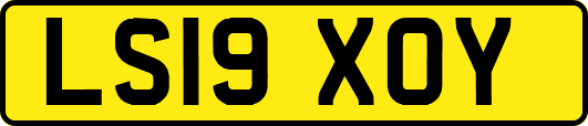LS19XOY