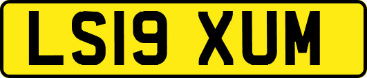 LS19XUM