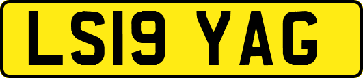 LS19YAG