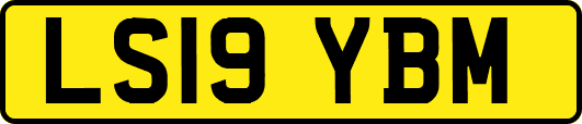 LS19YBM