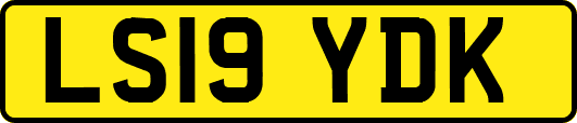 LS19YDK