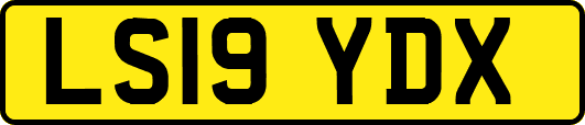 LS19YDX