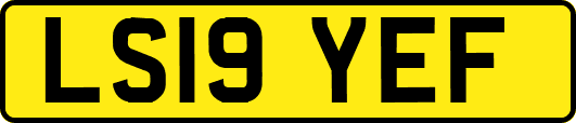 LS19YEF