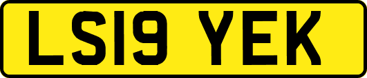 LS19YEK