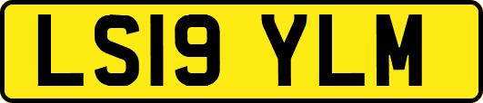 LS19YLM