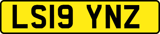 LS19YNZ