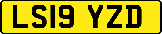 LS19YZD