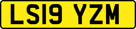 LS19YZM
