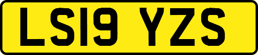 LS19YZS