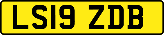 LS19ZDB