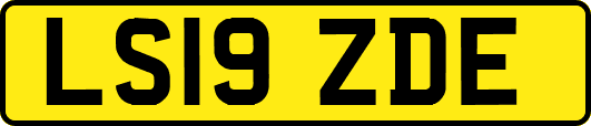 LS19ZDE
