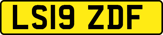 LS19ZDF